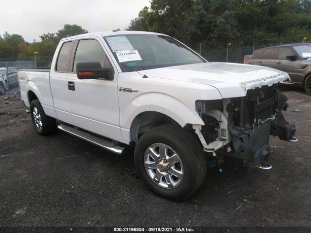 FORD F-150 2013 1ftfx1ef6dfa08812