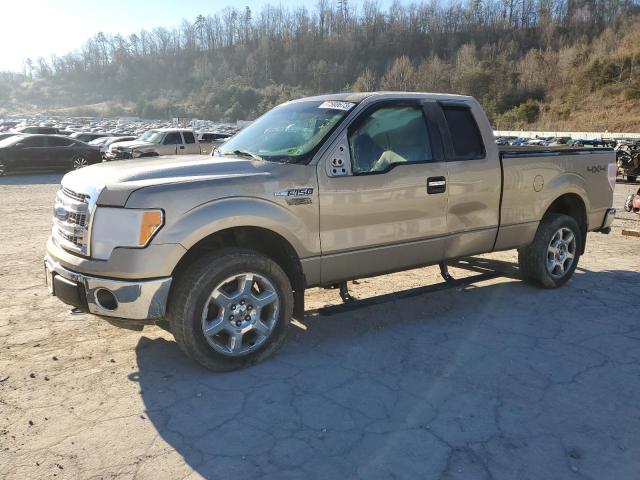 FORD F-150 2013 1ftfx1ef6dfb17416