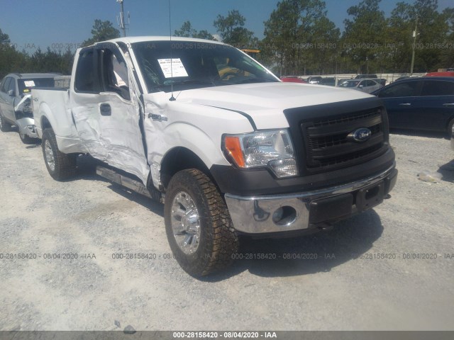 FORD F-150 2013 1ftfx1ef6dfb83917