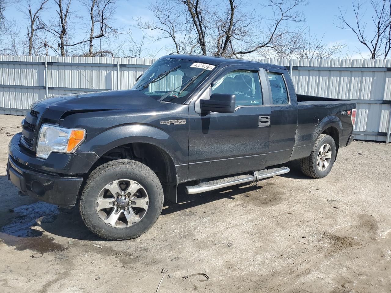 FORD F-150 2013 1ftfx1ef6dfc10923