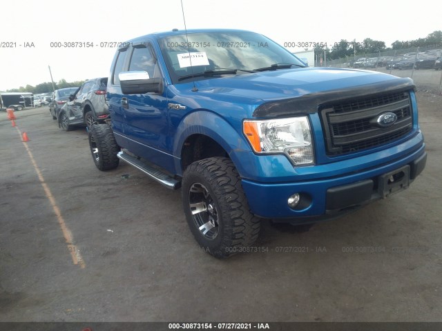 FORD F-150 2013 1ftfx1ef6dfc39015