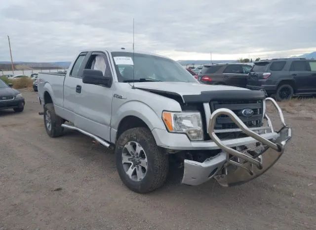 FORD F-150 2013 1ftfx1ef6dfc57546