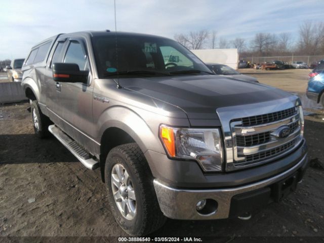 FORD F-150 2014 1ftfx1ef6efc64546