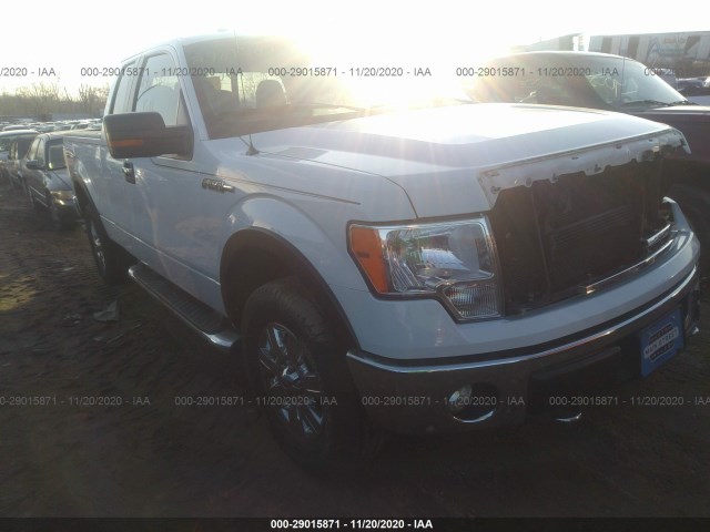 FORD F-150 2011 1ftfx1ef7bfa36308