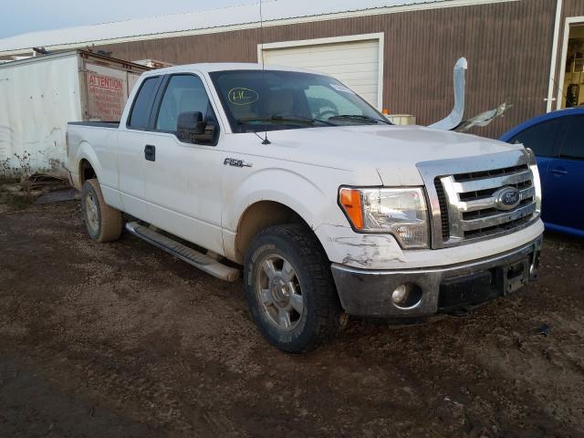 FORD F150 SUPER 2011 1ftfx1ef7bfa58129