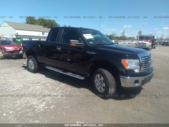 FORD F-150 2011 1ftfx1ef7bfd42263