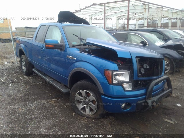 FORD F-150 2013 1ftfx1ef7dfb59061