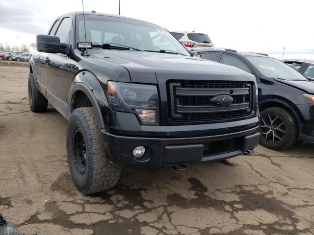 FORD F-150 2013 1ftfx1ef7dfb97535