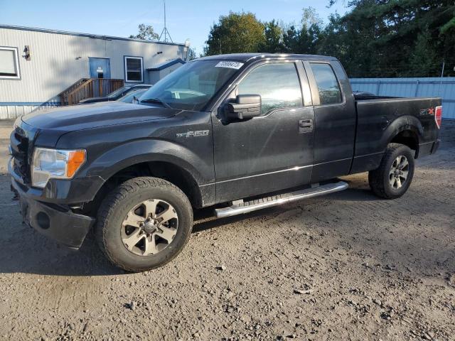 FORD F-150 2013 1ftfx1ef7dfc08677