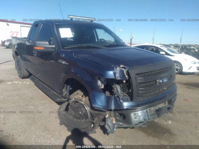 FORD F-150 2013 1ftfx1ef7dfc36737