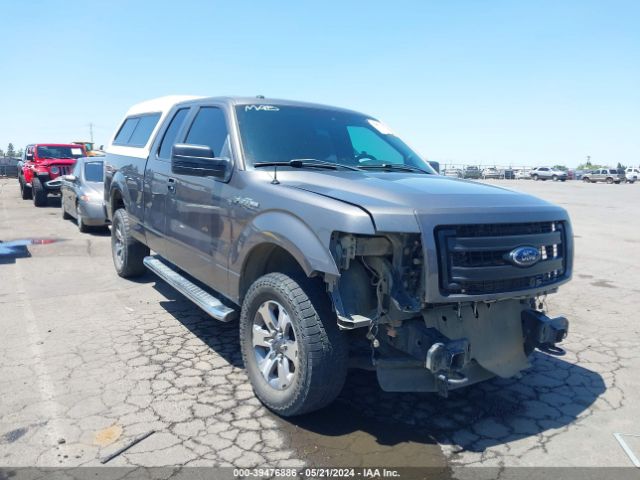 FORD F-150 2013 1ftfx1ef7dfd34330