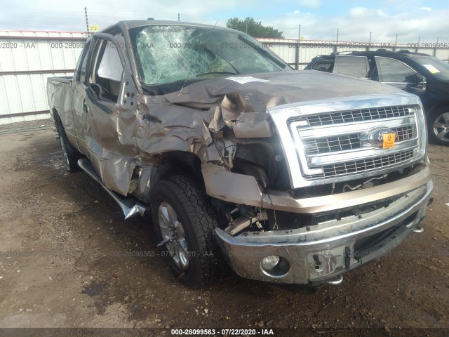 FORD F-150 2013 1ftfx1ef7dfe04571