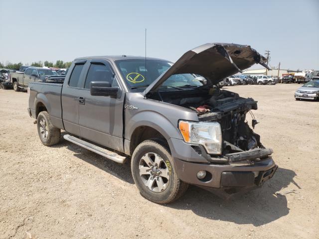 FORD F150 SUPER 2013 1ftfx1ef7dkf53067