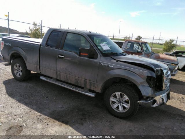 FORD F-150 2013 1ftfx1ef7dkf79569