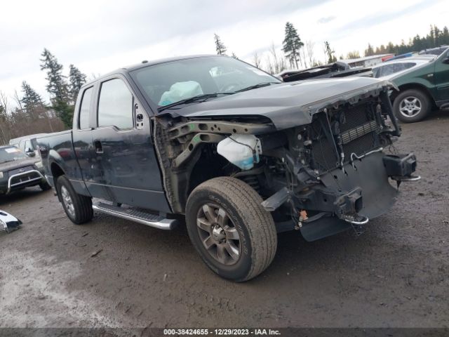 FORD F-150 2014 1ftfx1ef7efb10587