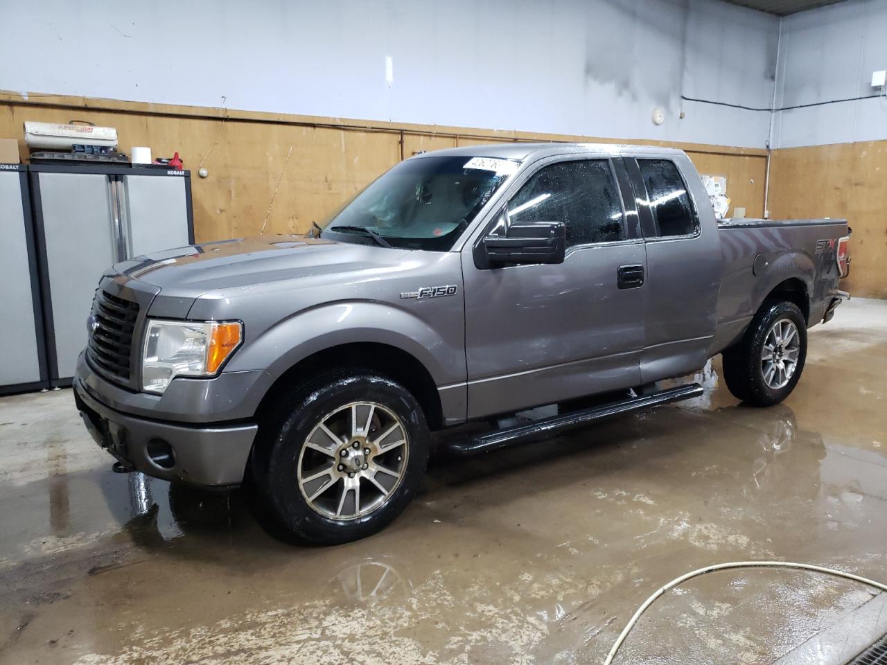 FORD F-150 2014 1ftfx1ef7efb24053