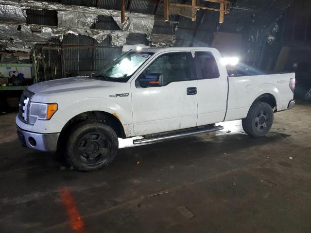 FORD F-150 2011 1ftfx1ef8bfd35600