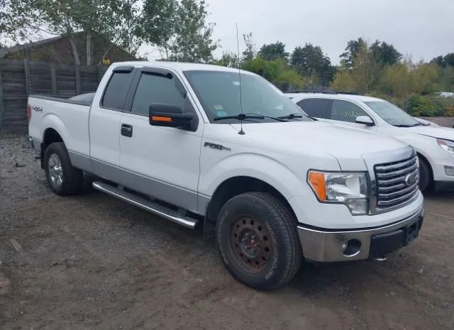 FORD F-150 2012 1ftfx1ef8cfa64264