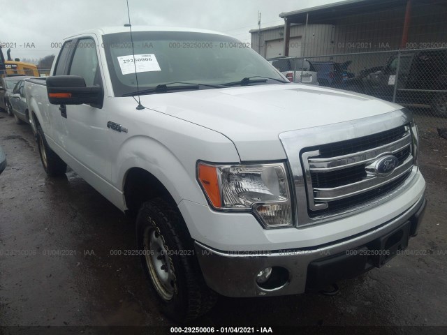 FORD F-150 2013 1ftfx1ef8dfa36420