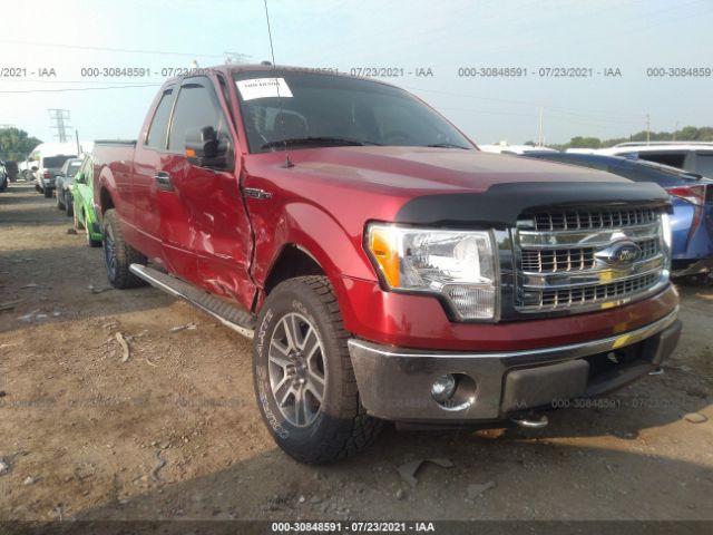 FORD F-150 2013 1ftfx1ef8dfa66565