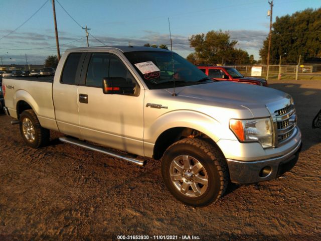 FORD F-150 2013 1ftfx1ef8dfa71961