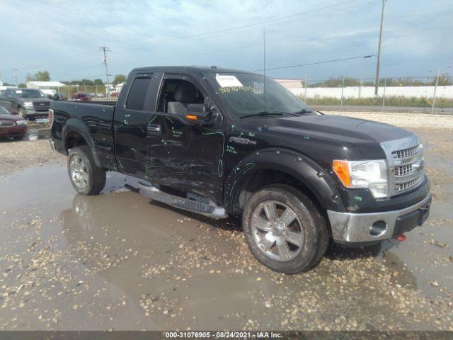 FORD F-150 2013 1ftfx1ef8dfa73421