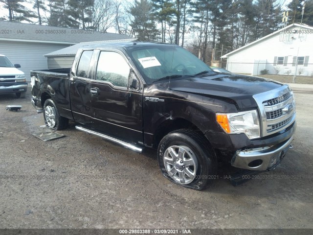 FORD F-150 2013 1ftfx1ef8dfa88145