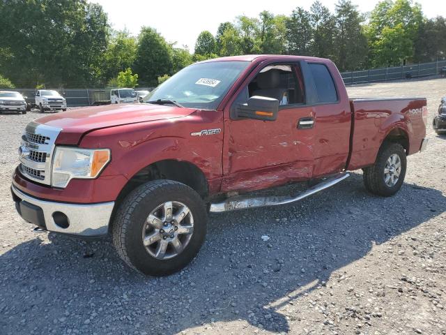 FORD F-150 2013 1ftfx1ef8dfb43712