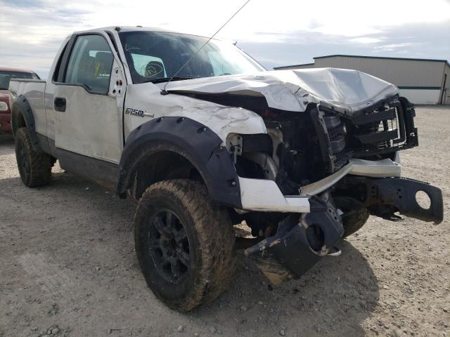 FORD F150 SUPER 2013 1ftfx1ef8dfb65497