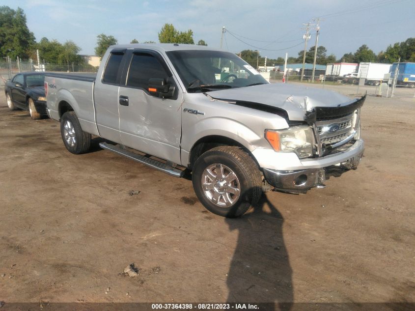 FORD F-150 2013 1ftfx1ef8dfc18571