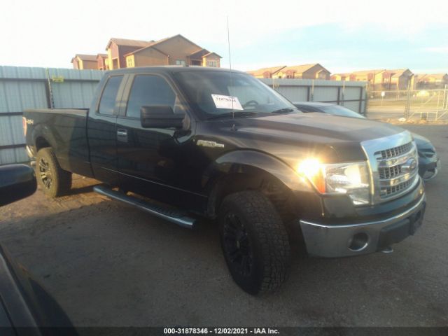 FORD F-150 2013 1ftfx1ef8dkd18161