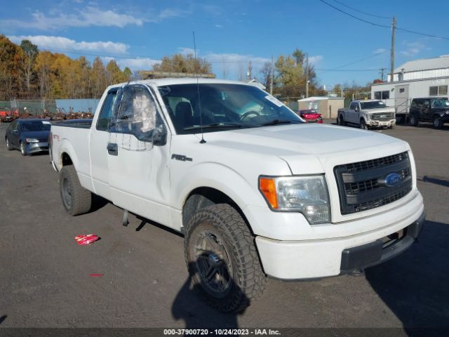 FORD F-150 2013 1ftfx1ef8dkd32013