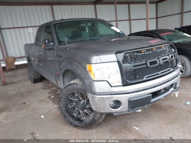 FORD F150 2013 1ftfx1ef8dkd75007