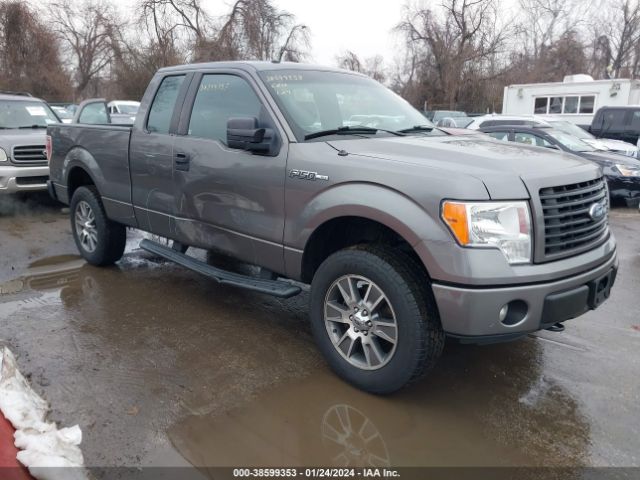 FORD F-150 2014 1ftfx1ef8efa08666