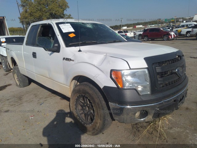 FORD F-150 2014 1ftfx1ef8efa46575