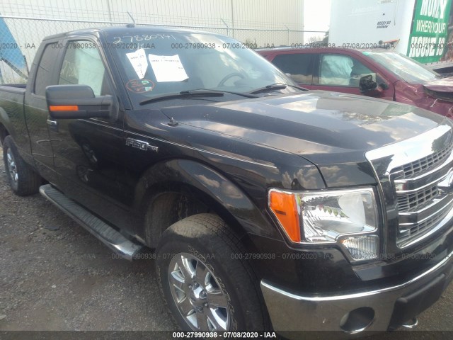 FORD F-150 2014 1ftfx1ef8efa92648