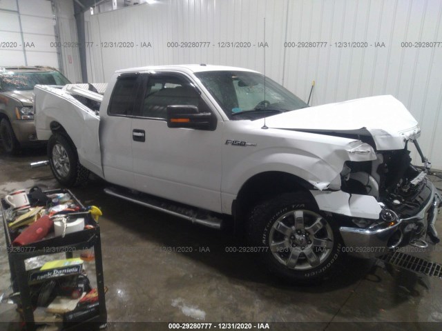 FORD F-150 2014 1ftfx1ef8efb27057