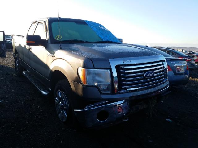 FORD F150 SUPER 2011 1ftfx1ef9bfc43105