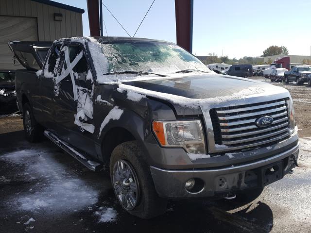 FORD F150 SUPER 2011 1ftfx1ef9bfd34262