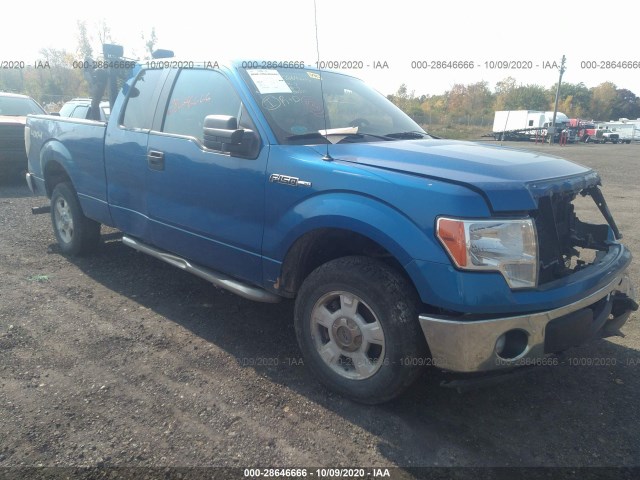 FORD F-150 2013 1ftfx1ef9dfa21537