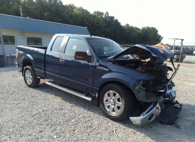 FORD F-150 2013 1ftfx1ef9dfa66462