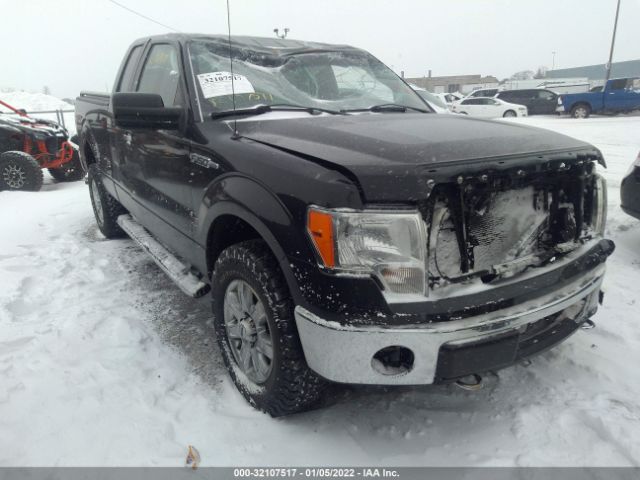 FORD F-150 2013 1ftfx1ef9dfa78286