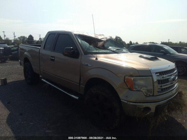 FORD F-150 2013 1ftfx1ef9dfb96953