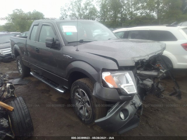 FORD F-150 2013 1ftfx1ef9dfd32126