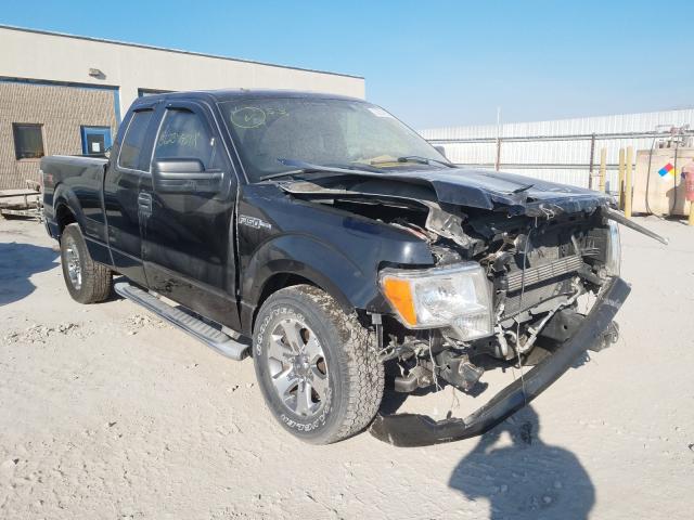 FORD F-150 2013 1ftfx1ef9dfd54420