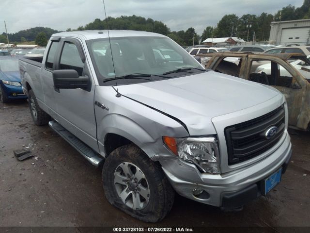 FORD F-150 2013 1ftfx1ef9dkf24542