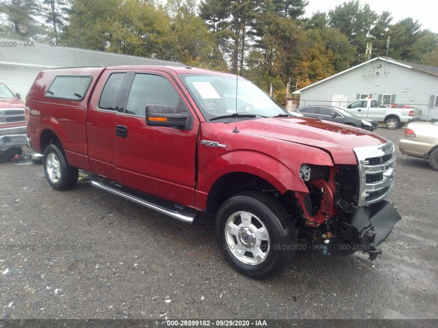 FORD F-150 2013 1ftfx1ef9dkg54367