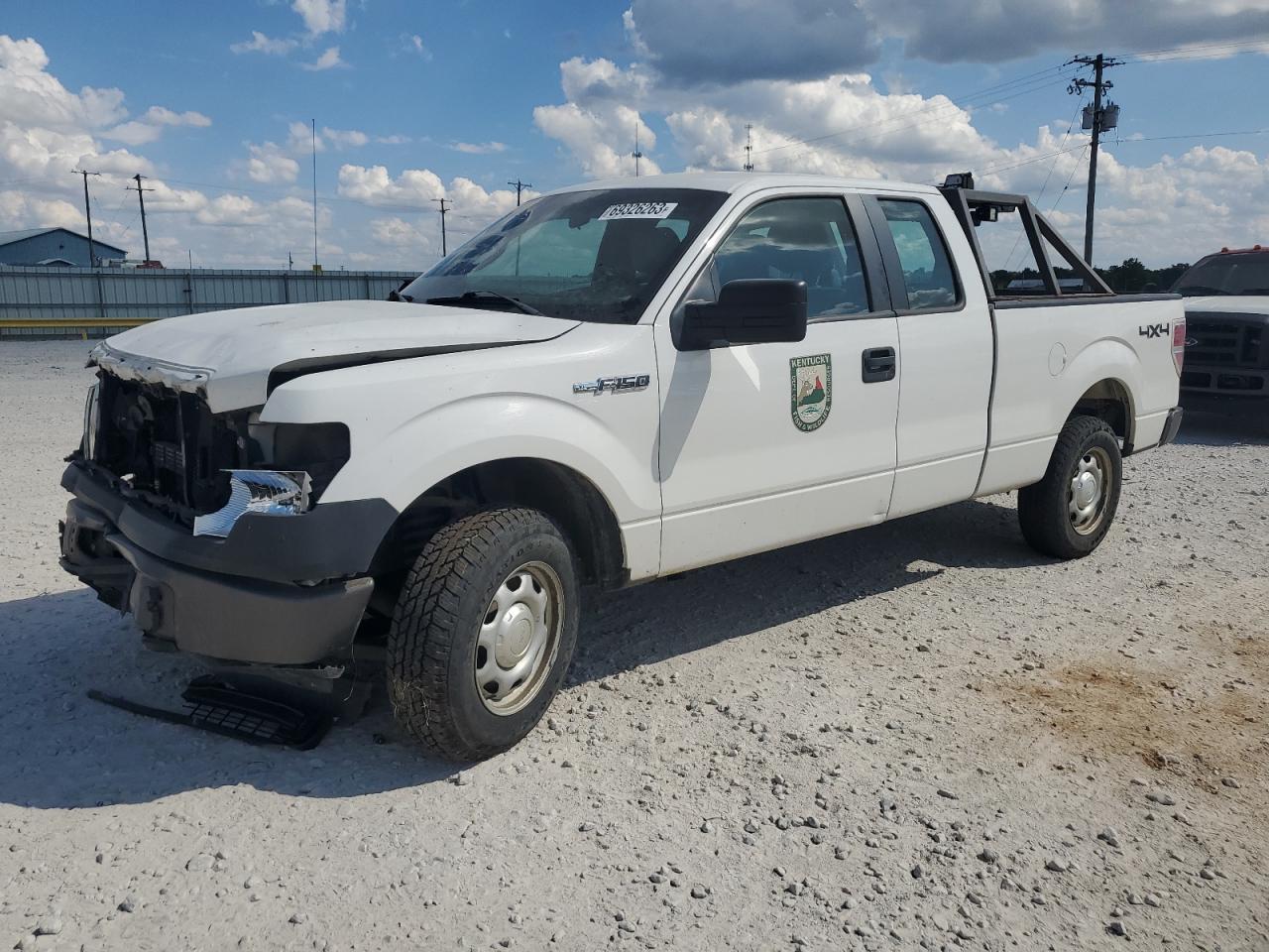 FORD F-150 2014 1ftfx1ef9efb02684