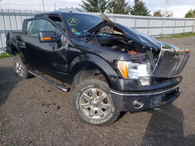 FORD F150 SUPER 2014 1ftfx1ef9efb19534