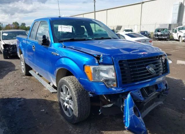 FORD F-150 2014 1ftfx1ef9efb75876